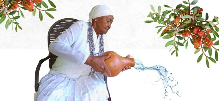 Lançamento: Tia Ana Pankararu – guardiã indígena de saberes da Caatinga